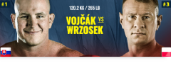 KSW 119