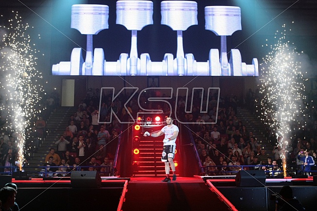 mamed khalidov vs james irvin 