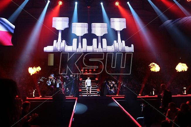 mamed khalidov vs james irvin 