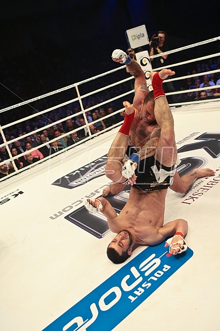 mamed khalidov vs james irvin 