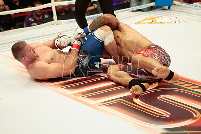 Jan Blachowicz vs Houston Alexander