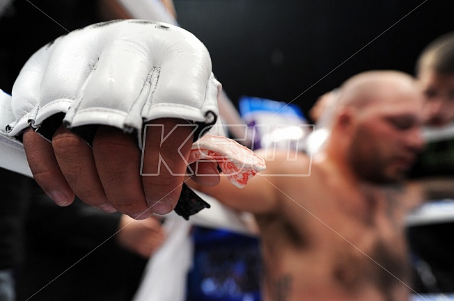 KAROL BEDORF VS KARL KNOTHE KSW 20