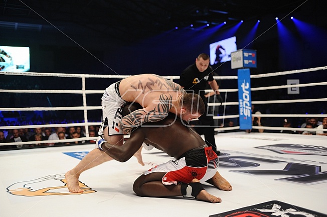 Michal Materla vs Gregory Babene