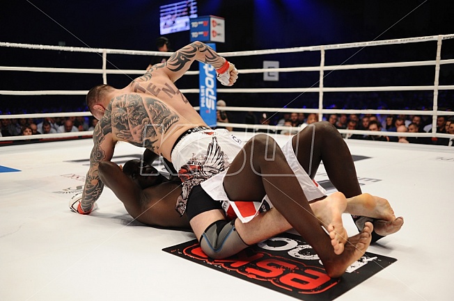 Michal Materla vs Gregory Babene